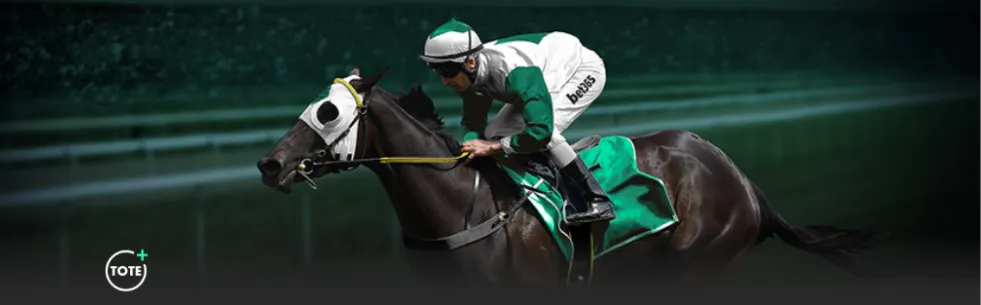 巴塞罗那推,出球迷徒步,活动,爱游戏app,爱游戏官网,爱游戏体育官网,爱游戏体育app