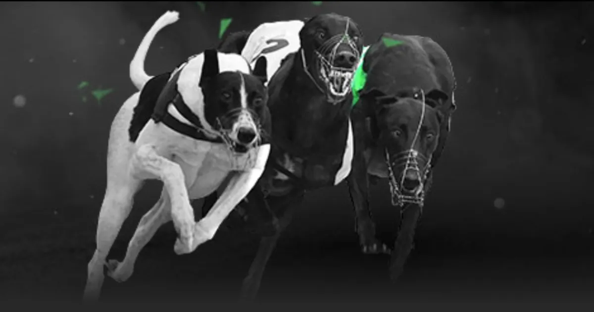 诺维奇,不敌切尔西,芒特双响哈,爱游戏app,爱游戏官网,爱游戏体育官网,爱游戏体育app